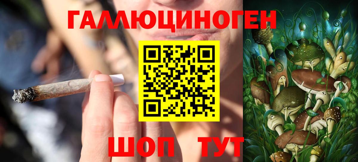 Тимашёвск  что такое   Вход с VPN  Галлюциногенные грибы мицелий 