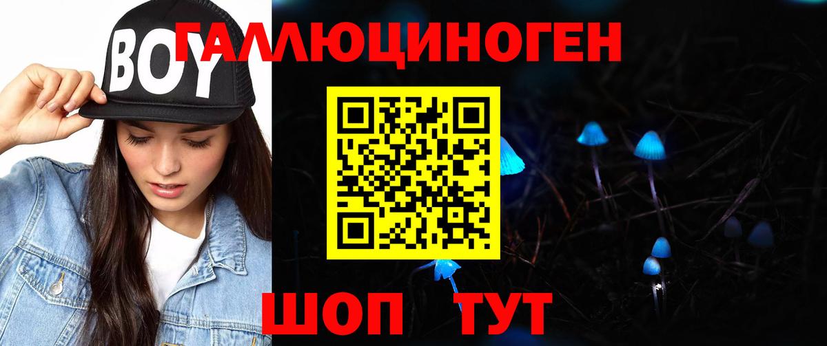 Псилоцибиновые грибы прущие грибы Тимашёвск